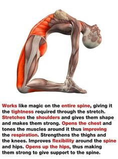 Yoga Facts, Daily Yoga Workout, Relaxing Yoga, Health And Fitness Articles, Back Pain Exercises, Fitness Articles, Daily Yoga