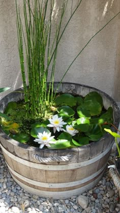 a wooden barrel filled with water lilies and grass