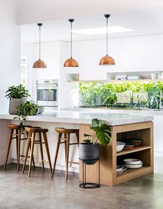 a kitchen with stools and an island in the middle, surrounded by potted plants