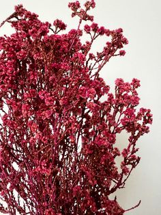 a vase filled with pink flowers sitting on top of a wooden table next to a white wall