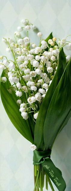 a bouquet of lily of the valley flowers