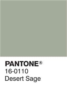 pantone's desert sage color is shown in the image, and it appears to be gray