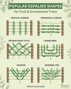 several different types of plants that are growing on the fence