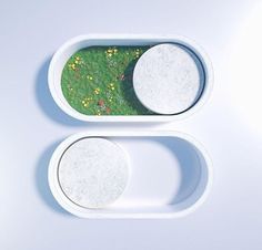 two white trays with green and yellow plants in them on a white table top