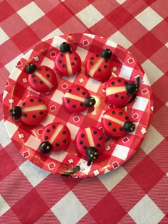 red and white plate with ladybugs on it