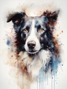 a painting of a black and white dog with watercolor splashes on it's face