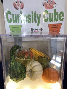 a display case filled with lots of different types of fruits and veggies in front of a curiosity cube sign