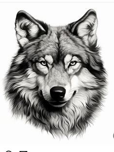 a drawing of a wolf's face with the words fox in black and white