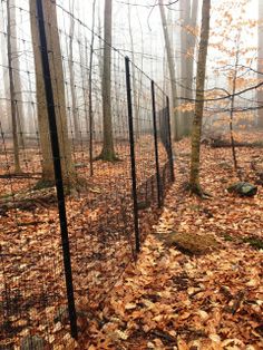 a fence in the middle of a forest with leaves on the ground and trees behind it