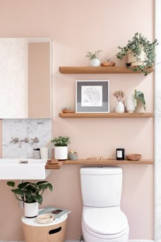 a white toilet sitting next to a sink in a bathroom under floating shelves filled with potted plants