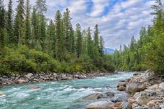 a river running through a forest filled with lots of rocks and green trees in the background