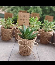 small succulents in burlocks tied with twine are sitting on a table