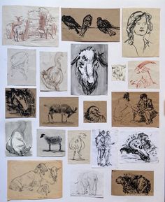 a bunch of drawings that are on a wall