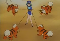 a woman in blue is pulling two tigers on a rope