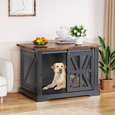 a dog is sitting in an open cabinet