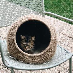 a cat is sitting in its bed on the patio