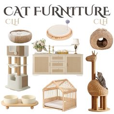 the cat furniture is all different styles and colors