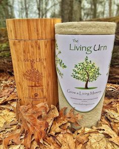 two cups sitting next to each other on top of leaf covered ground with trees in the background