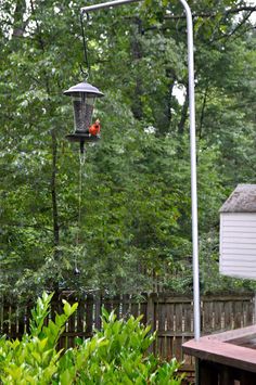 a bird feeder hanging from the side of a tree next to a fence and trees