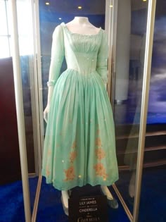 a dress on display in a glass case