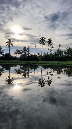 palm trees are reflected in the water on a cloudy day with sun shining through the clouds