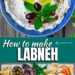 the cover of how to make labneh with pictures of different foods and vegetables