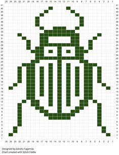 a cross stitch pattern with an image of a green beetle on it's back