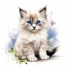 a white kitten with blue eyes sitting on the ground