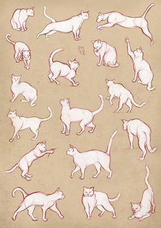 a drawing of cats in various poses and positions