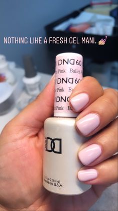 Light Pink Gel Nail Colors, Pink Nails Short Square Design, Daisy Dnd Nail Polish Colors, Dnd Natural Pink Gel Color, Dnd Sns Colors, Pyramid Gel Polish Colors, Dolce Pink Gel Nails, Milky Pink Gel Polish, Dnd Gel Polish Colors Pedicure