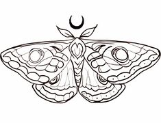 a drawing of a butterfly on a white background