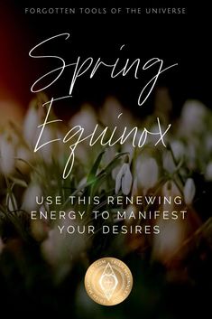 How to Benefit From Spring Equinox Energy | Trish McKinnley  Do you know how to use Spring Equinox to start manifesting your dreams? I've got 3 ways to take advantage of this fresh energy to make your dreams come true. Click through for these tips and to learn about all the Forgotten Tools of the Universe™. Imbolc Ritual, Yoga Themes, Pagan Festivals, Start Manifesting, Power Animal, Make Your Dreams Come True, Spring Equinox, Moon Cycles, Spiritual Teachers