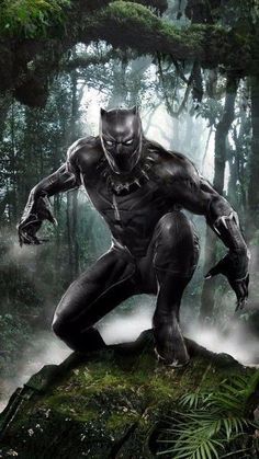 a black panther standing on top of a lush green forest