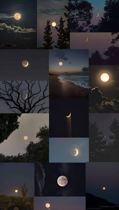 many different images of the moon and trees