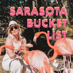 a woman kneeling down next to two flamingos with the words sarasota bucket list