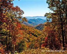 a scenic view of mountains and trees in the fall