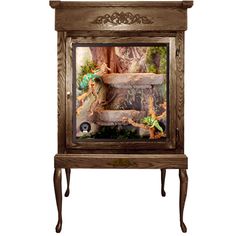 an ornate wooden cabinet with glass doors