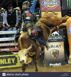 a man riding on the back of a bull at a rodeo