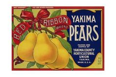 a red ribbon label for yakim pears from the early 1900's is shown