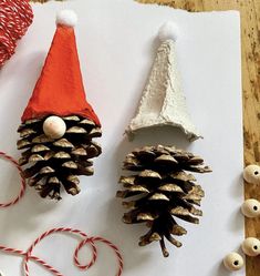 two pine cones are sitting next to each other on a piece of paper with twine