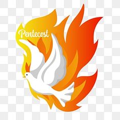 a white bird with orange and yellow flames on it's wings, which reads pentest