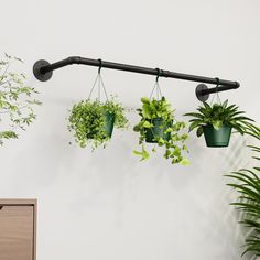 three hanging plants on a wall next to a dresser