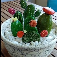 a bowl filled with lots of different types of cactus