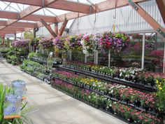 the inside of a greenhouse filled with lots of flowers