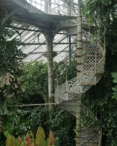 a spiral staircase is in the middle of some trees and greenery with lots of plants