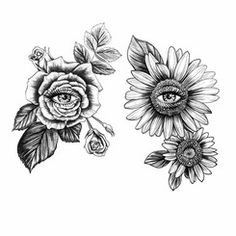 three sunflowers with leaves and an eye