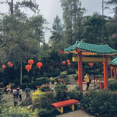 people are walking around in the park with red lanterns hanging from the roof and yellow flowers on the ground