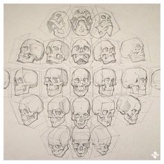 a bunch of skulls that are drawn in pencil on paper with different shapes and sizes