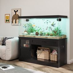 a living room filled with furniture and a fish tank