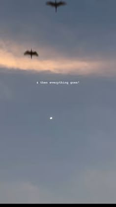 two birds flying in the sky at dusk with an inspirational quote above them that reads, i think everything is great